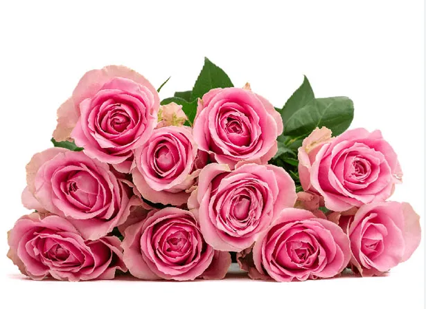 Rose - Wham