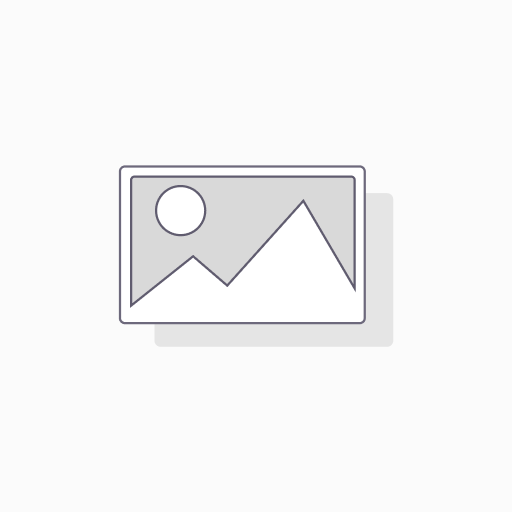 Wax Flower White